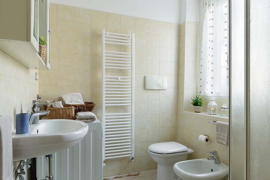 Vista del bagno